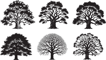 Tree silhouette vector set, bare tree, dense canopy, branching pattern, black and white illustration, nature clipart, botanical art, forest elements
