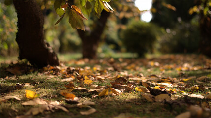 Obraz premium vegetation. Autumn garden bathed in warm sunlight with scattered golden leaves and peaceful ambiance. representing seasonal cycles and harvest abundance.