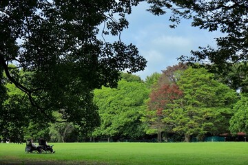 穏やかな老後生活　森林浴