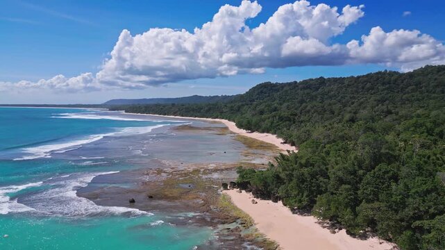 Aerial view of Plengkung Beach, Alas Purwo National Park, East Java, Indonesia