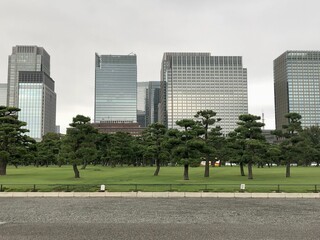 Obraz premium Tokyo skyline and park