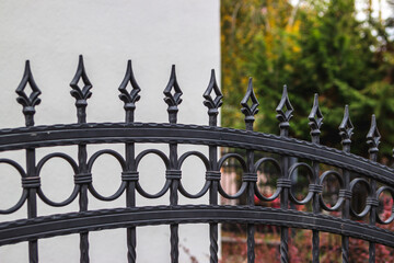 Ornamental Wrought Iron Fence. Metal Fence.	