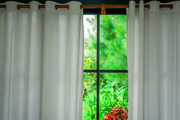 Curtain and View of Nature: A window framed by elegant, flowing curtains offers a captivating glimpse of the lush, vibrant outdoor scene beyond, creating a serene and inviting atmosphere.