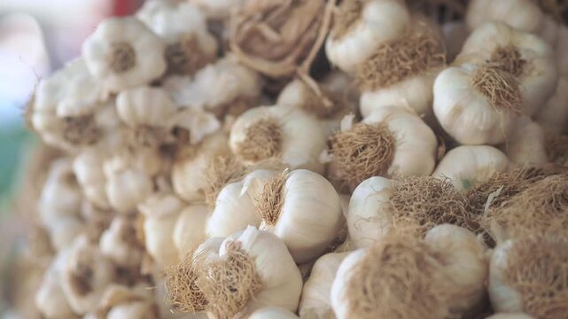 Garlic harvest in vibrant local market
