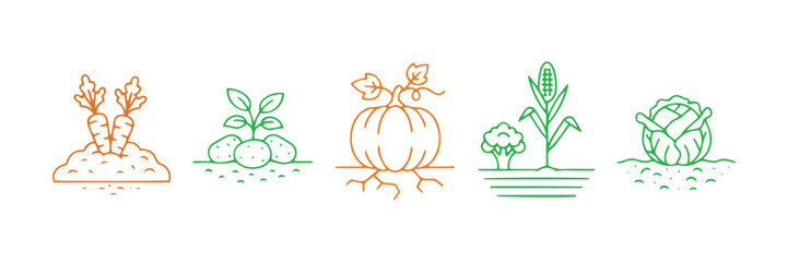 A collection of vegetable icons showing where they grow. It's a linear design featuring general items like carrots, potatoes, pumpkins, and more. Isolated vector on a white background.