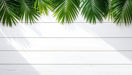 Tropical Breeze Frame