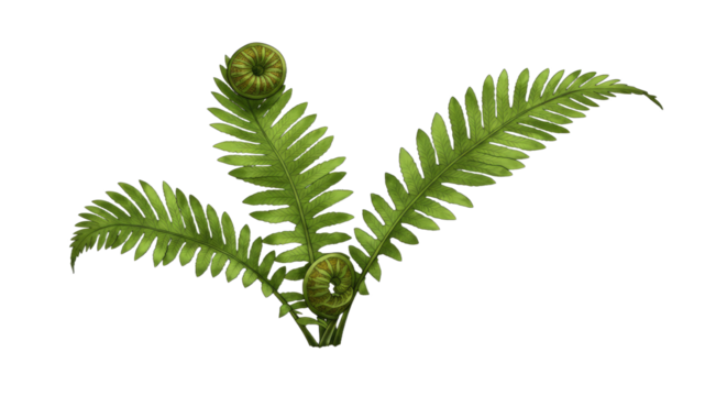 A vibrant green fern frond unfurling with delicate spirals. - Powered by Adobe