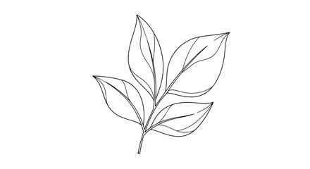 Stylized illustration of a plant stem with three leaves in a dotted line outline.