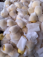 Heap of vibrant Asian pears protected with foam netting ready for market, promising fresh, juicy flavor and healthy eating for families and individuals
