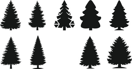 Pine tree silhouette vector illustration, conifer forest design with diverse shapes and branches, abstract nature art, evergreen botanical elements, decorative landscape inspiration