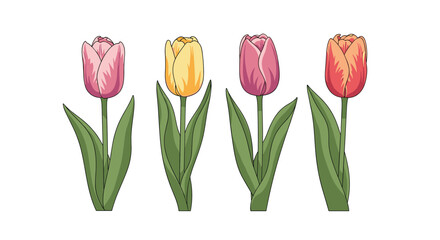 Obraz premium A colorful bouquet of spring tulips in various shades of pink yellow and orange.