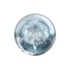 Abstract fractal flower glowing inside a glass orb. Magical crystal sphere isolated on black background for design.