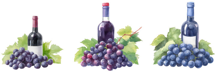 Watercolor Grapes and Wine Bottles Arrangement  on a Transparent Background