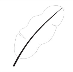 Banana leaf line art