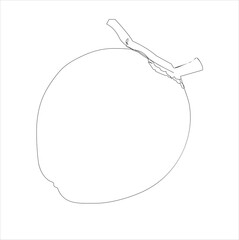coconut line art