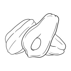 chayote vegetable simple lineart vector illustration