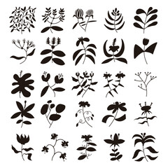 Set of plant silhouette vector, hand drawn flower and leaves