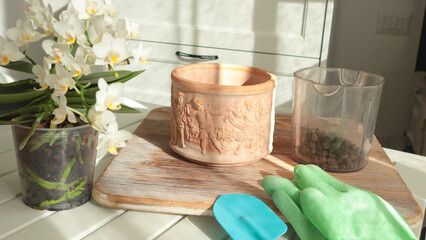 Blooming flowers in terracotta clay pots and gardening tools on table. Repotting. Nature and plant care at home. Space planning and interior design.