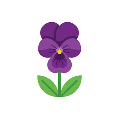 Purple pansy flower blooming in garden with green leaves showing vibrant colors and delicate petals in spring, symbolizing beauty and growth.