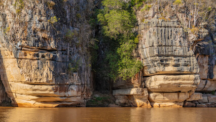 The eroded limestone banks of the African river. Green vegetation grows on the steep layered slopes of the cliffs. Reflection on brown water. Close-up. Madagascar. Manambolo river.