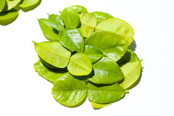 Kaffir lime leaves on white background.