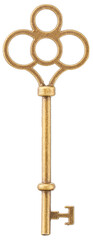 Obraz premium Vintage brass skeleton key isolated on white background