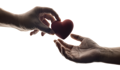 hands giving a red heart isolated on transparent png background, health care, organ donation, family life insurance, world heart day, world health day, praying concept.
