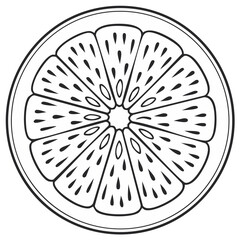 Stylized line drawing of a citrus fruit slice with segments and seeds