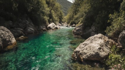 Naklejka premium A clear, turquoise river flows through a rocky gorge, surrounded by lush green foliage