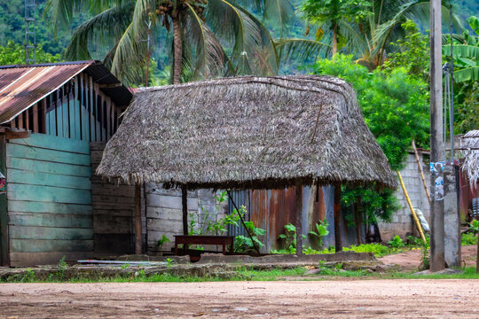 chosas yradicionales de hojas en la selva peruana