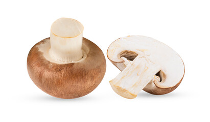 Fresh champignon mushrooms isolated on transparent png ( image from camera )