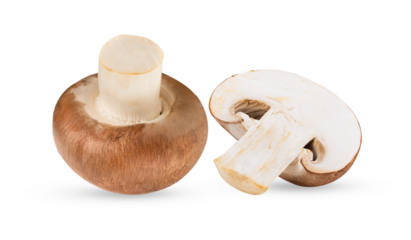 Fresh champignon mushrooms isolated on transparent png ( image from camera )