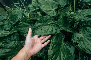 Fototapety na wymiar - Fototapeta24.pl