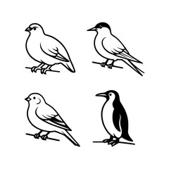 Bird Icons Set Sparrow, Swallow, Finch, Penguin Vector
