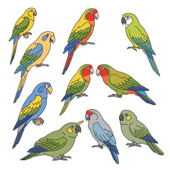 Obraz premium A collection of colorful parrots drawn in a simple illustrative style.