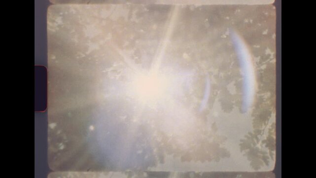 Zooming to sunlight flares through dense summer tree foliage captured with a vintage analog 8mm film look