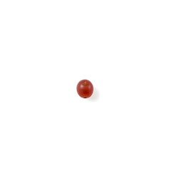 A solitary red grape is placed at the center of a pristine white background
