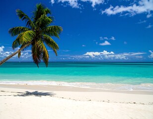 Naklejka premium Tropical beach with palm & clear blue sky