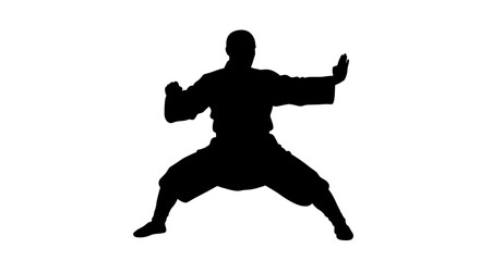 Dynamic silhouette of a martial artist performing a powerful karate stance ready for combat and training exercises isolated on white background