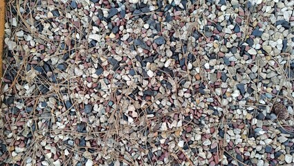 A close-up of small, multicolored gravel stones scattered on the ground, with dried pine needles interspersed among them. The mix of earthy tones, including shades of brown, gray, black, and red, crea