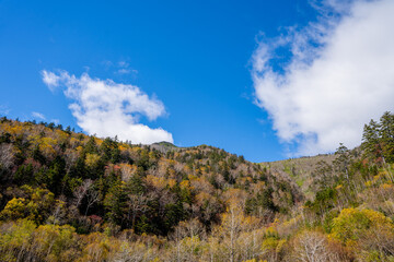 青空と紅葉した山の木々の風景