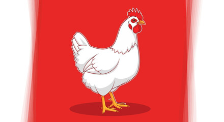 A pristine white hen stands gracefully showcasing its elegant plumage and vibrant red comb.