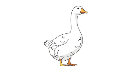 A detailed illustration of a white goose standing proudly on a white background.