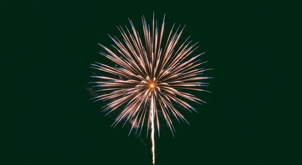 Fireworks Exploding in Night Sky with Golden Sparks