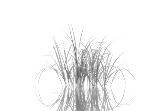 Abstract white fiber strands forming a bushy organic shape isolated on transparent background