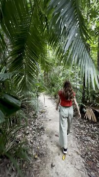 adventurous girl strolls in Licuala Forest Park admiring unique Australian fan palms (Licuala ramsayi) in lush dense rainforest, tropical North Queensland, near Cairns, Queensland, Australia