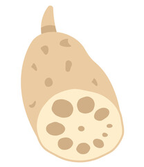 蓮根のイラスト