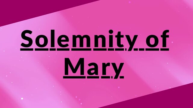 Solemnity of Mary text design on pink background &ndash; Christian feast celebration graphic, elegant typography with spiritual theme
