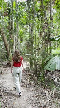 adventurous girl strolls in Licuala Forest Park admiring unique Australian fan palms (Licuala ramsayi) in lush dense rainforest, tropical North Queensland, near Cairns, Queensland, Australia