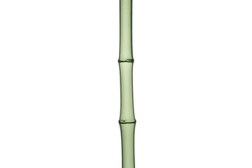 Naklejka premium A single green bamboo stalk with distinct nodes isolated on transparent background